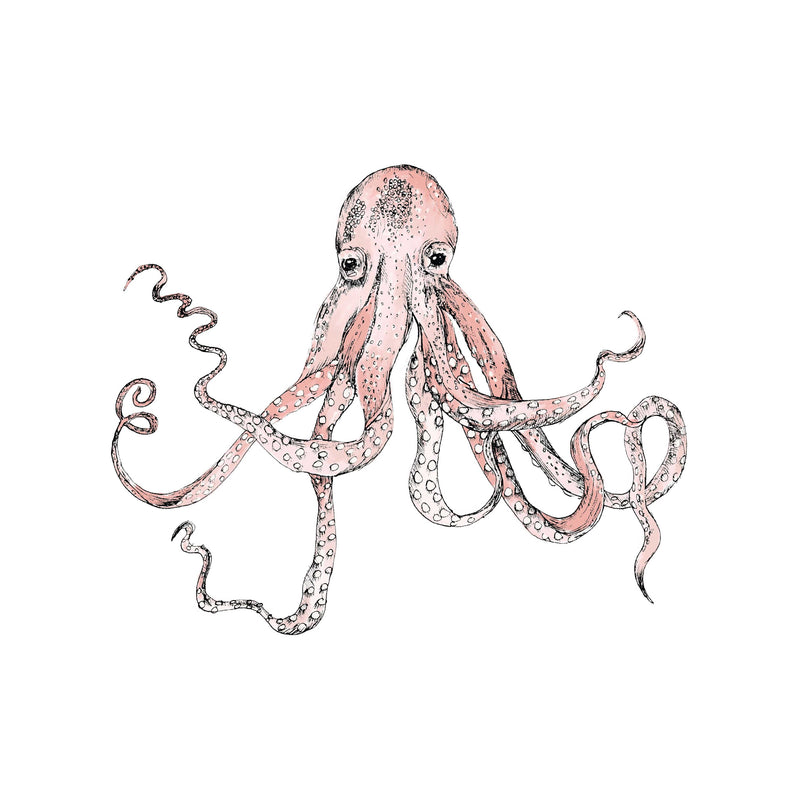 Losse wandsticker - Octopus