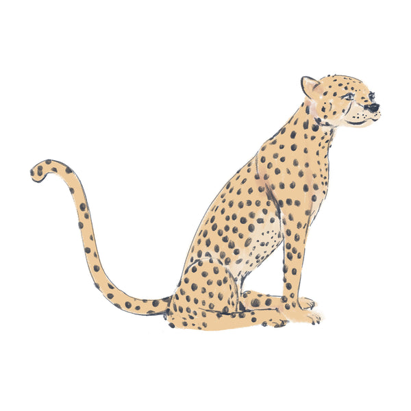 Wandsticker - Panther