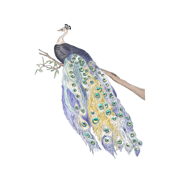 Separate Wall Sticker - Peacock