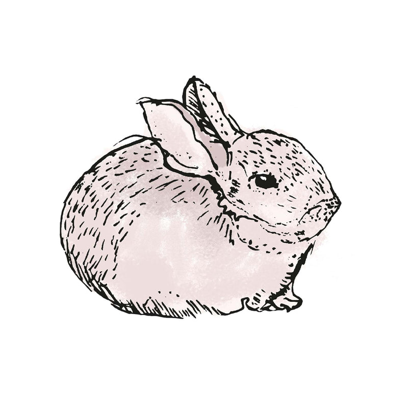 Separate Wall Sticker - Rabbit