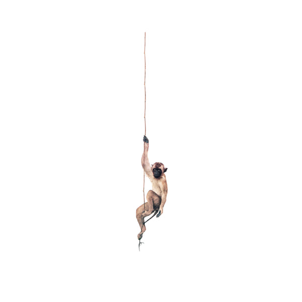 Wandsticker - Spider Monkey