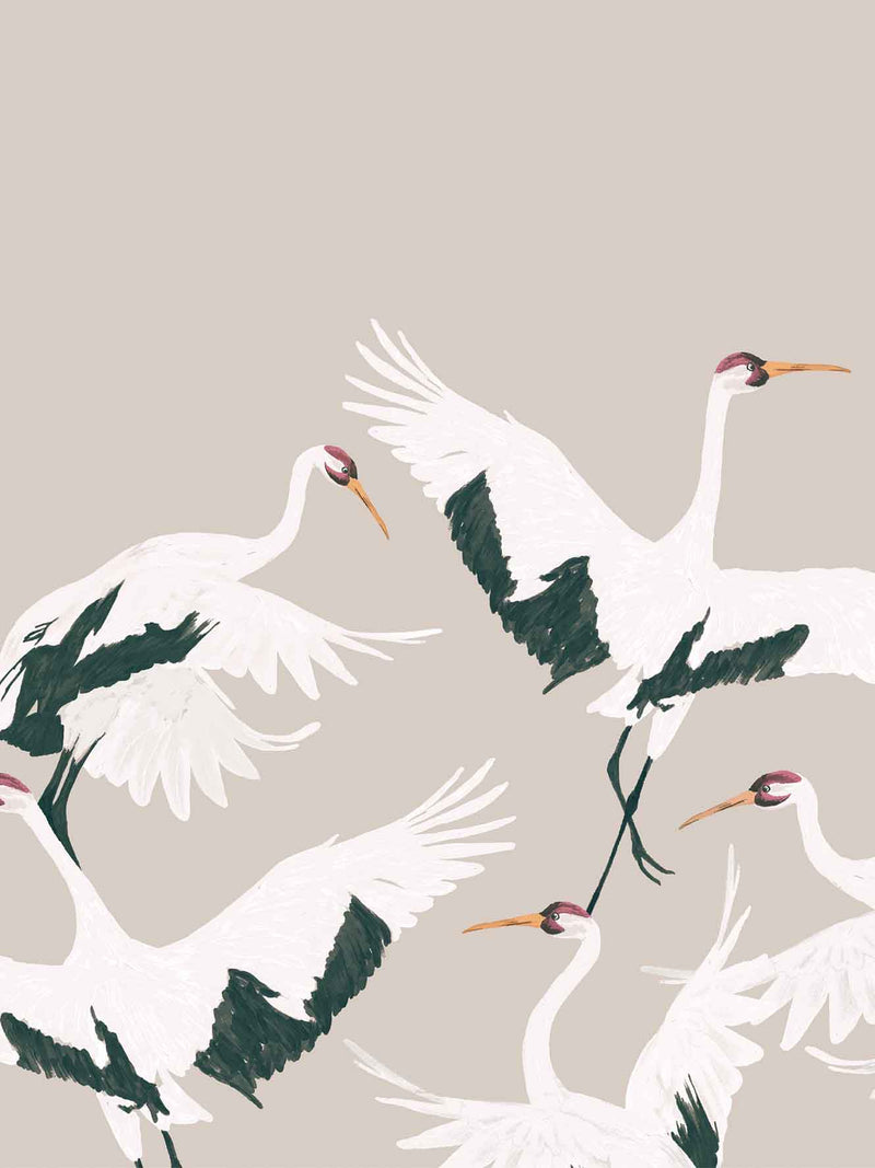 Papier Peint Oiseaux - Cigogne Nue