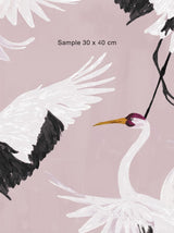 Bird Wallpaper - Stork