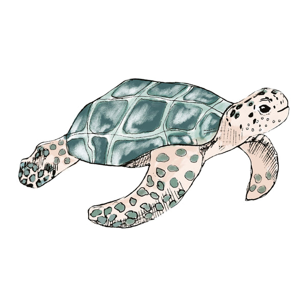 Losse wandsticker - Schildpad