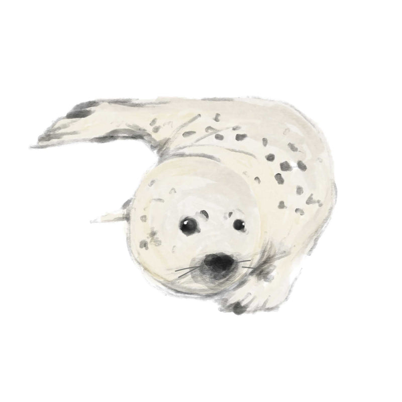 Losse wandsticker - Zeehond